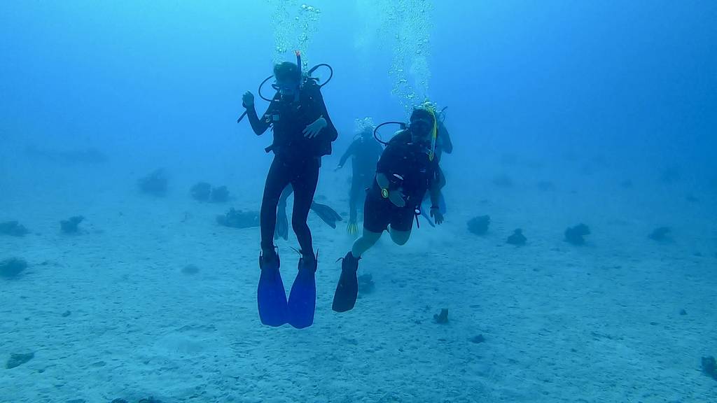 Rechts schwimme ich ^^