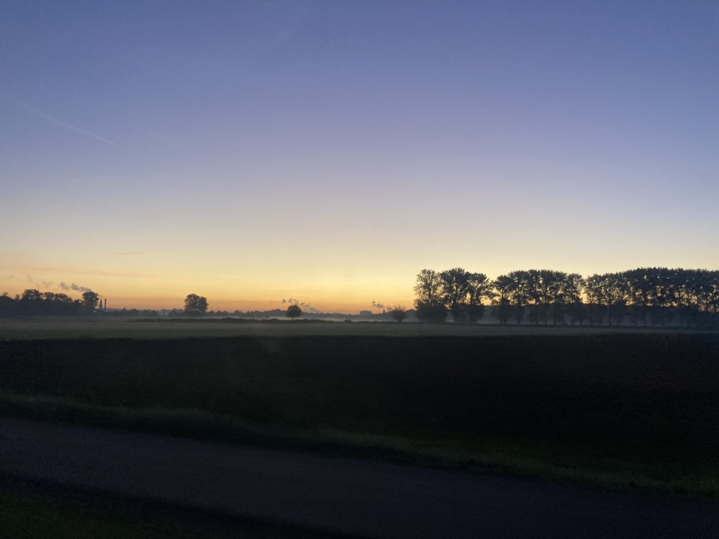 Die Sonne geht über einem Feld mit Bäumen auf.