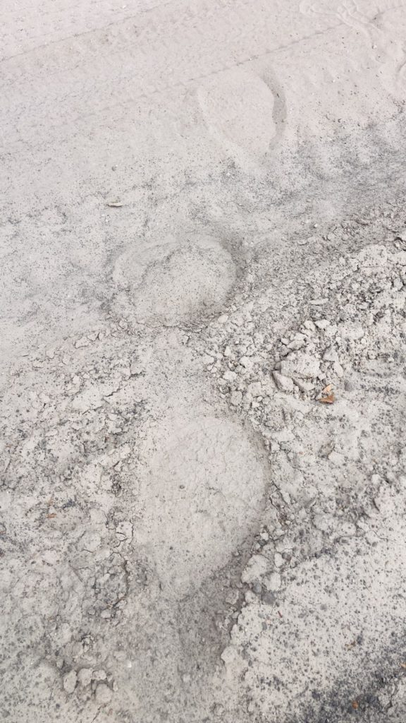Elefantenspuren im Sand